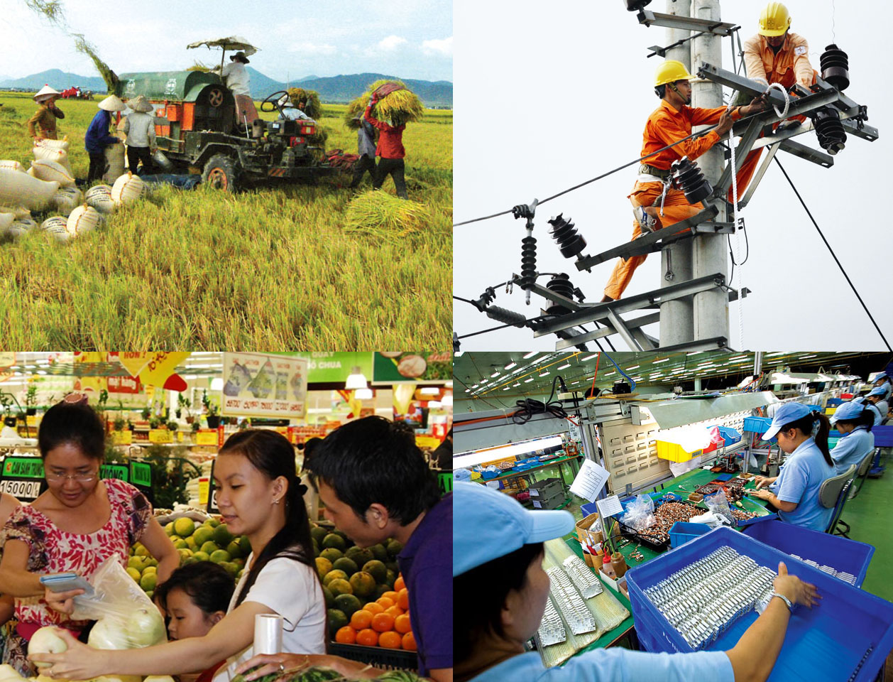 Rà soát lộ trình thực hiện các mục tiêu phát triển bền vững Việt Nam